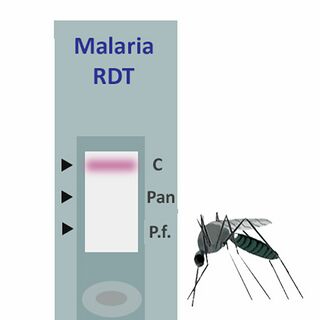 MalariaETC